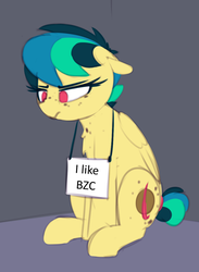 Size: 749x1024 | Tagged: safe, artist:shinodage, edit, oc, oc only, oc:apogee, pegasus, pony, bzc, freckles, implied penis, pony shaming, sign, sitting, solo