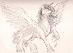 Size: 2048x1480 | Tagged: safe, artist:8bitsofmagic, oc, oc:romny hasagawa, alicorn, horse, pony, alicorn oc, colossus, horn, majestic, male, nudity, sheath, sketch, spread wings, stallion, strong, unshorn fetlocks, wings