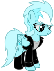 Size: 1280x1688 | Tagged: safe, artist:buckeyescozycafe, oc, oc only, oc:arctic ravish, pegasus, pony, clothes, female, jacket, mare, simple background, solo, transparent background