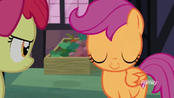 Size: 1920x1080 | Tagged: safe, edit, edited screencap, screencap, apple bloom, fluttershy, pinkie pie, scootaloo, sweetie belle, earth pony, pegasus, pony, unicorn, g4, marks for effort, season 8, animated, cutie mark, cutie mark crusaders, ear rape, explosion, female, filly, funny, mare, meme, scooter, sound, the cmc's cutie marks, webm, wtf boom!
