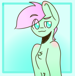 Size: 6800x6900 | Tagged: safe, artist:shibewad, oc, oc only, oc:minty cotton, earth pony, pony, absurd resolution, colored pupils, male, simple background, smiling, smug, solo