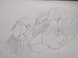 Size: 1280x960 | Tagged: safe, artist:mr.smile, fluttershy, g4, looking at you, shy, sitting, traditional art