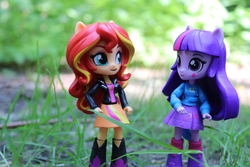 Size: 6000x4000 | Tagged: safe, artist:artofmagicpoland, sunset shimmer, twilight sparkle, alicorn, equestria girls, g4, doll, equestria girls minis, female, irl, looking at something, looking up, photo, toy, twilight sparkle (alicorn)