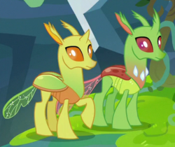 Size: 354x297 | Tagged: safe, screencap, arista, clypeus, changedling, changeling, g4, to change a changeling, background changeling, cropped, duo, looking sideways, raised hoof