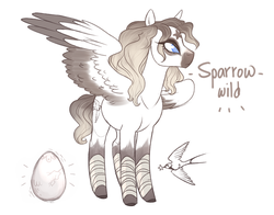 Size: 1221x959 | Tagged: safe, artist:kapusha-blr, oc, oc only, oc:sparrow wild, bird, pegasus, pony, bandage, egg, solo