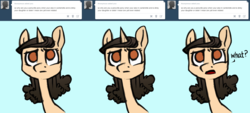 Size: 3840x1729 | Tagged: safe, artist:quintessentially-peculiar, oc, oc only, oc:vinny, pony, unicorn, tumblr:ask little derpy, ask, comic, solo, tumblr