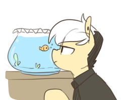 Size: 476x375 | Tagged: safe, artist:redxbacon, oc, oc only, oc:note clip, fish, pony, female, fish bowl, pet, pet fish, simple background, solo, white background