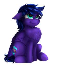 Size: 3405x3856 | Tagged: safe, artist:pridark, oc, oc only, pegasus, pony, chest fluff, commission, floppy ears, high res, male, simple background, sitting, solo, stallion, transparent background