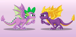 Size: 900x446 | Tagged: safe, artist:sonicpegasus, spike, g4, molt down, crossover, duo, looking at each other, male, purple background, quadrupedal spike, simple background, spyro the dragon, spyro the dragon (series), winged spike, wings