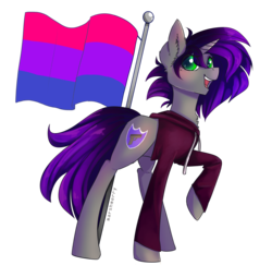 Size: 3708x3600 | Tagged: safe, artist:skylacuna, oc, oc only, oc:amethyst night, pony, unicorn, bisexual pride flag, clothes, female, high res, hoodie, mare, pride, pride flag, simple background, solo, transparent background