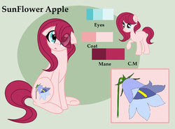 Size: 1352x1000 | Tagged: safe, artist:mlp-awesomebases, oc, oc only, oc:sunflower apple, earth pony, pony, base used, eye clipping through hair, female, mare, offspring, parent:big macintosh, parent:fluttershy, parents:fluttermac, reference sheet, solo