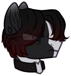 Size: 534x573 | Tagged: safe, artist:kazanzh, oc, oc only, pony, bust, hair over eyes, male, portrait, simple background, solo, stallion, transparent background