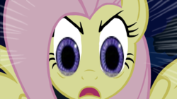 Size: 1197x668 | Tagged: safe, fluttershy, g4, disturbing, eye, eyes, flutterstare, judy hopps, nightmare fuel, parody, stare, the stare, zootopia