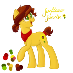 Size: 1024x1016 | Tagged: safe, artist:vampteen83, oc, oc only, oc:sunflower sunrise, earth pony, pony, female, mare, reference sheet, simple background, solo, transparent background