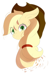 Size: 556x819 | Tagged: safe, artist:tohupo, applejack, earth pony, pony, g4, bust, cute, eye clipping through hair, female, jackabetes, looking at you, mare, portrait, simple background, solo, white background