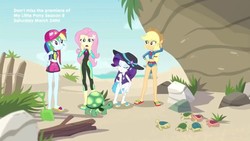 Size: 1280x720 | Tagged: safe, screencap, applejack, fluttershy, rainbow dash, rarity, turtle, aww... baby turtles, equestria girls, g4, my little pony equestria girls: better together, applejack's beach shorts swimsuit, clothes, feet, female, flip-flops, sandals, swimsuit, wetsuit