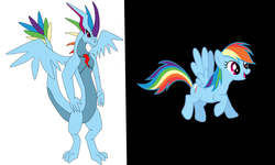 Size: 3682x2202 | Tagged: safe, artist:pd123sonic, rainbow dash, dragon, g4, dragonified, female, high res, rainbow dragon, solo, species swap