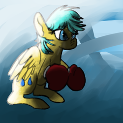 Size: 512x512 | Tagged: safe, artist:wolfstorm56, sunshower raindrops, pony, g4, abstract background, boxing gloves, female, solo