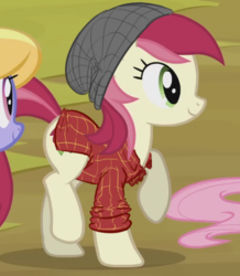 Size: 387x443 | Tagged: safe, edit, edited screencap, screencap, roseluck, pony, g4, beanie, clothes, clothes edit, cropped, female, flannel, hat, shirt, solo