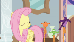 Size: 600x338 | Tagged: safe, screencap, apple bloom, constance, fluttershy, scootaloo, sweetie belle, bird, earth pony, pegasus, pony, unicorn, g4, marks for effort, animated, cutie mark, cutie mark crusaders, diploma, female, filly, graduation cap, hat, reversed, the cmc's cutie marks