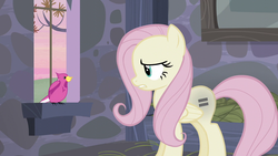 Size: 1280x720 | Tagged: safe, screencap, fluttershy, bird, g4, the cutie map, equal sign, our town, picture, stone, tree, wall, window