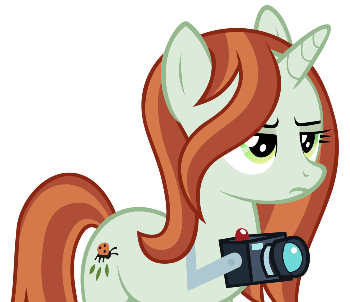 飾り物 十二支 銅鑼 少林拳 飾り物 十二支 銅鑼 少林拳 【公式通販】