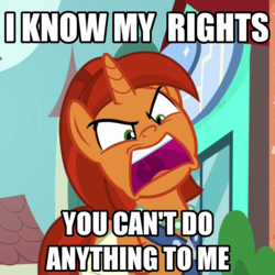 Size: 981x981 | Tagged: safe, edit, edited screencap, screencap, stellar flare, pony, g4, the parent map, angry, cropped, dialogue, female, image macro, karen, meme, open mouth, solo, stellar flare has lost it, yelling