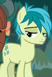 Size: 428x638 | Tagged: safe, screencap, sandbar, earth pony, pony, g4, non-compete clause, cropped, male, sandbar is not amused, solo