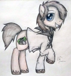Size: 2271x2448 | Tagged: safe, artist:angelofthewisp, earth pony, pony, chuckie floop, clothes, high res, male, ponified, solo, stallion, traditional art, twisted metal
