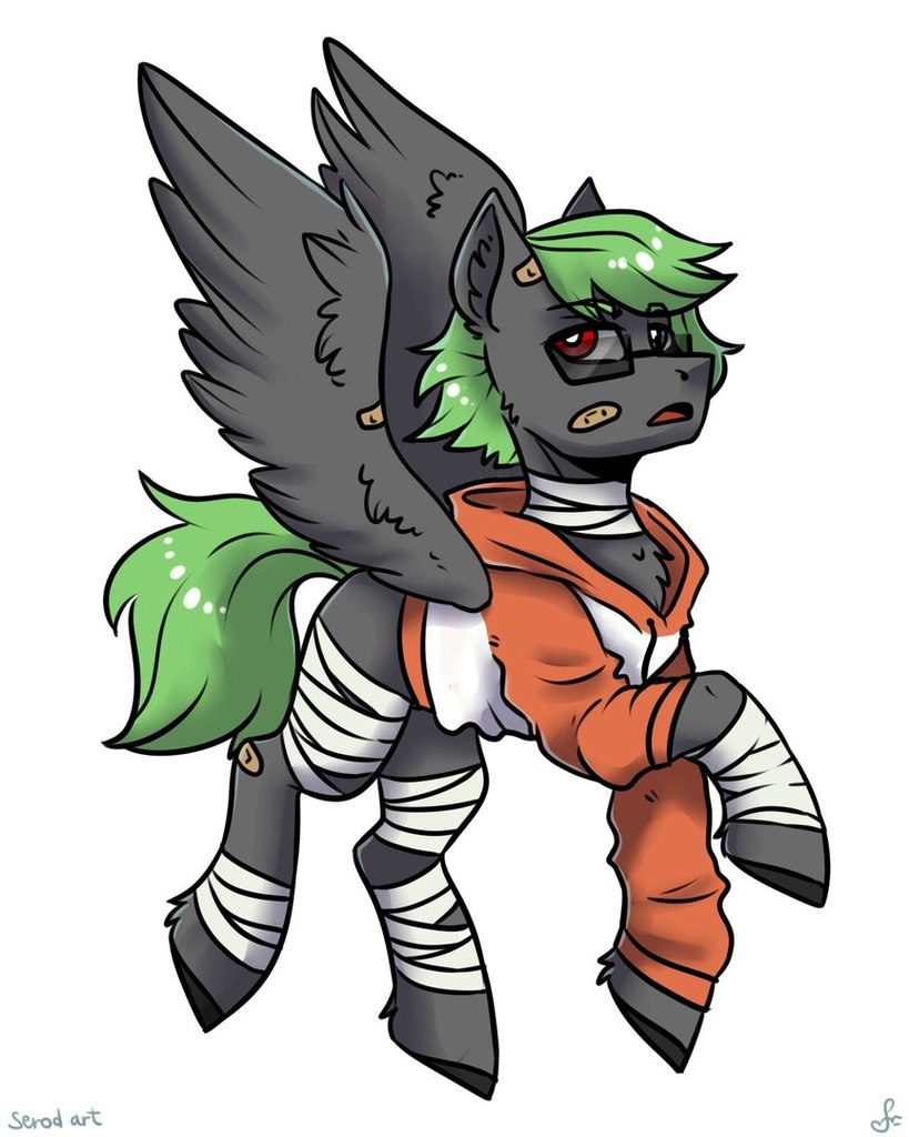 Safe Artist Serodart Oc Oc Only Pegasus Pony Clothes