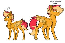 Size: 1024x686 | Tagged: safe, artist:colourstrike, oc, oc only, oc:chrysanthos, pegasus, pony, age progression, colt, ear piercing, male, offspring, parent:big macintosh, parent:fluttershy, parents:fluttermac, piercing, simple background, solo, stallion, tail feathers, torn ear, white background