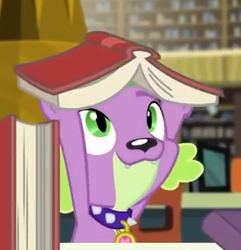 Size: 336x348 | Tagged: safe, screencap, spike, spike the regular dog, dog, equestria girls, equestria girls specials, g4, my little pony equestria girls: better together, my little pony equestria girls: forgotten friendship, book, cropped, cute, male, puppy, smiling, spikabetes