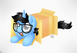 Size: 1150x800 | Tagged: safe, artist:sabrib, oc, oc only, oc:tinker doo, pony, unicorn, box, cute, glasses, male, ponies sliding into a box, smiling, solo