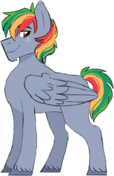 Size: 1408x2159 | Tagged: safe, artist:artistcoolpony, oc, oc only, oc:zap apple, pegasus, pony, freckles, male, offspring, parent:big macintosh, parent:rainbow dash, parents:rainbowmac, simple background, solo, stallion, transparent background, unshorn fetlocks