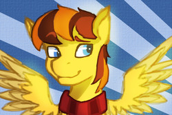 Size: 1080x720 | Tagged: safe, artist:fizzlesoda2000, oc, oc only, oc:pen, pegasus, pony, bust, clothes, male, scarf, smiling, solo, spread wings, stallion, wings
