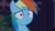 Size: 1920x1080 | Tagged: safe, screencap, rainbow dash, pony, 28 pranks later, g4, my little pony: friendship is magic, cookie, female, food, looking at you, scared, shocked, solo