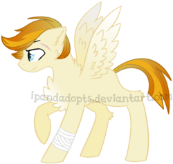 Size: 671x639 | Tagged: safe, artist:ipandadopts, oc, oc only, pegasus, pony, base used, blank flank, chest fluff, male, offspring, parent:bulk biceps, parent:spitfire, parents:bulkfire, scar, simple background, solo, stallion, transparent background, watermark