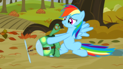 Size: 1920x1080 | Tagged: safe, screencap, rainbow dash, tank, pegasus, pony, tortoise, g4, my little pony: friendship is magic, tanks for the memories, autumn, duo, i'll fly, leaves, sitting, smiling, spread wings, tree