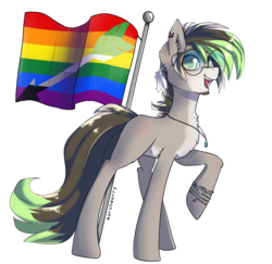 Size: 3708x3600 | Tagged: safe, artist:skylacuna, oc, oc only, oc:jazzpurr, earth pony, pony, aromantic, aromantic pride flag, gay pride flag, glasses, high res, male, pride, pride flag, simple background, solo, stallion, transparent background
