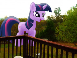 Size: 2500x1876 | Tagged: safe, artist:flutterbatismagic, twilight sparkle, pony, g4, backyard, female, giant ponies in real life, giant pony, giantess, impending doom, irl, macro, macro/micro, mega twilight sparkle, photo, photomanipulation, ponies in real life, what has magic done, what has science done