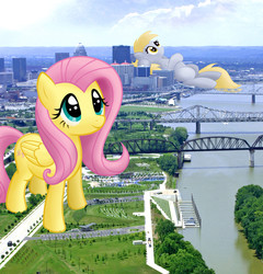Size: 8000x8318 | Tagged: safe, artist:flutterbatismagic, derpy hooves, fluttershy, pegasus, pony, g4, absurd resolution, bridge, city, destruction, female, giant pony, giantess, highrise ponies, irl, kentucky, louisville, macro, macro/micro, photo, photomanipulation, ponies in real life, river, standing