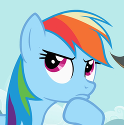 Size: 940x948 | Tagged: safe, screencap, rainbow dash, pony, g4, may the best pet win, season 2, cropped, female, find a pet, mare, reaction image, solo, thinking