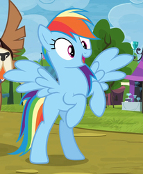 Size: 696x846 | Tagged: safe, screencap, rainbow dash, pony, g4, my little pony: friendship is magic, trade ya!, cropped, female, missing cutie mark, rearing, solo