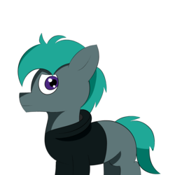 Size: 4000x4000 | Tagged: safe, artist:velvet rose, oc, oc only, oc:zepyhr rose, pony, looking at you, male, simple background, simple shading, solo, stallion, transparent background