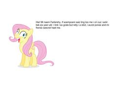 Size: 960x720 | Tagged: safe, fluttershy, g4, abuse, background pony strikes again, derp, dialogue, engrish, exploitable meme, flutterbuse, fluttercry, grammar error, i didn't listen, image macro, meme, misspelling, op is a duck, op is trying to start shit so badly that it's kinda funny, op is trying too hard, opinion, unpopular opinion, unpopular opinions, worst pony