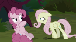 Size: 1920x1080 | Tagged: safe, screencap, mean fluttershy, mean pinkie pie, earth pony, pegasus, pony, g4, the mean 6, clone, discovery family logo, duo, duo female, female, flutterbitch, mare
