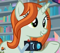 Size: 1208x1067 | Tagged: safe, screencap, crackle cosette, queen chrysalis, pony, g4, the mean 6, bookshelf, camera, cropped, cute, cutealis, disguise, disguised changeling, female, shutterbetes, solo