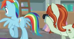 Size: 1465x783 | Tagged: safe, screencap, crackle cosette, queen chrysalis, rainbow dash, g4, the mean 6, butt, camera, disguise, disguised changeling, eyes on the prize, out of context, plot