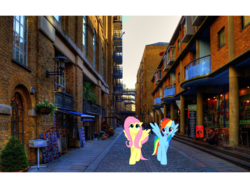 Size: 960x720 | Tagged: safe, fluttershy, rainbow dash, g4, irl, photo, ponies in real life