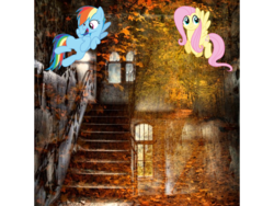 Size: 960x720 | Tagged: safe, fluttershy, rainbow dash, g4, flying